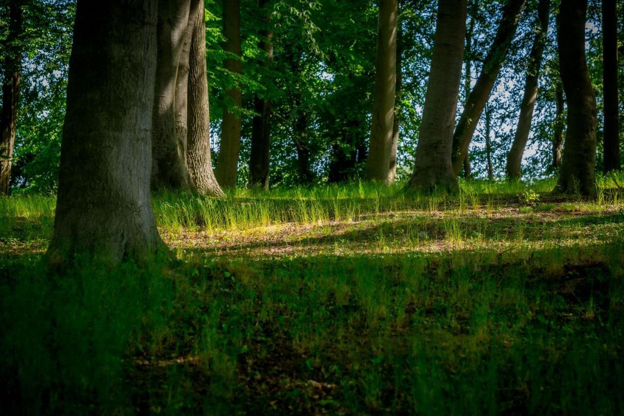 Matys Landhausperle An Der Mueritz Robel Bagian luar foto