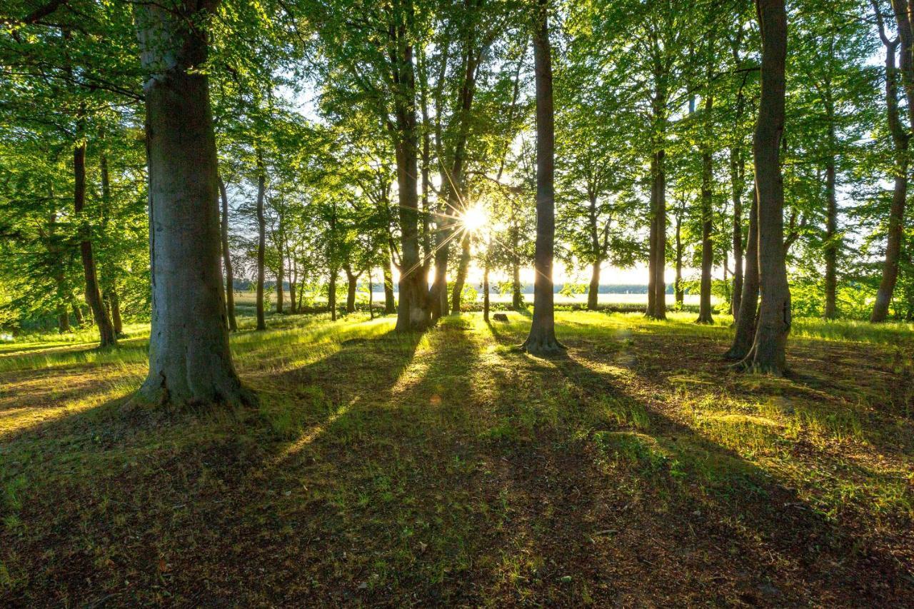 Matys Landhausperle An Der Mueritz Robel Bagian luar foto