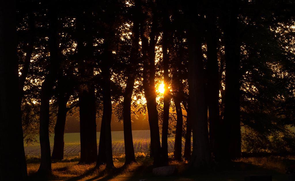 Matys Landhausperle An Der Mueritz Robel Bagian luar foto